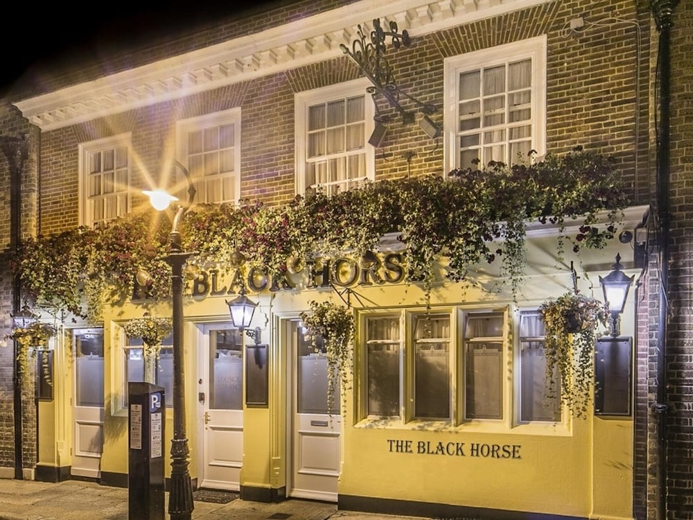 The Black Horse 1/49