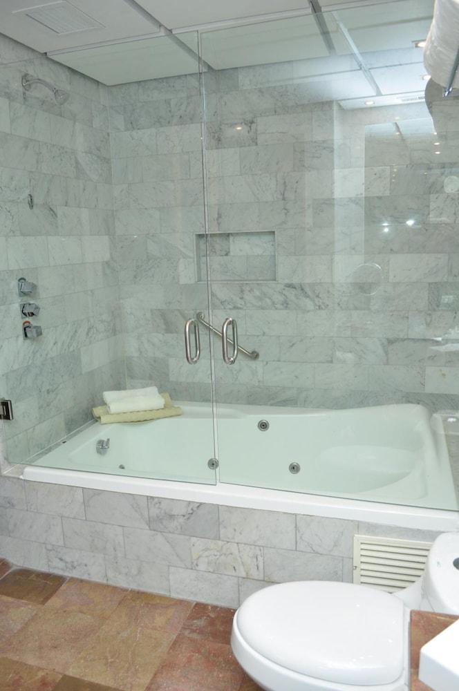 Royal Pedregal Hotel 47/47