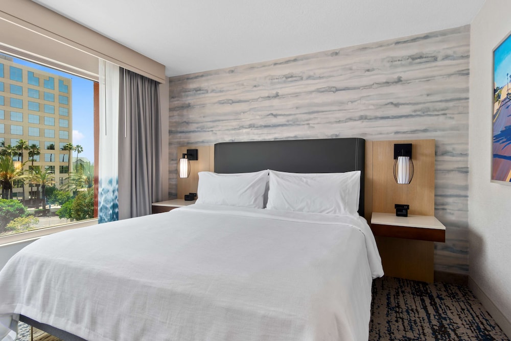 Embassy Suites By Hilton Anaheim South 19/51