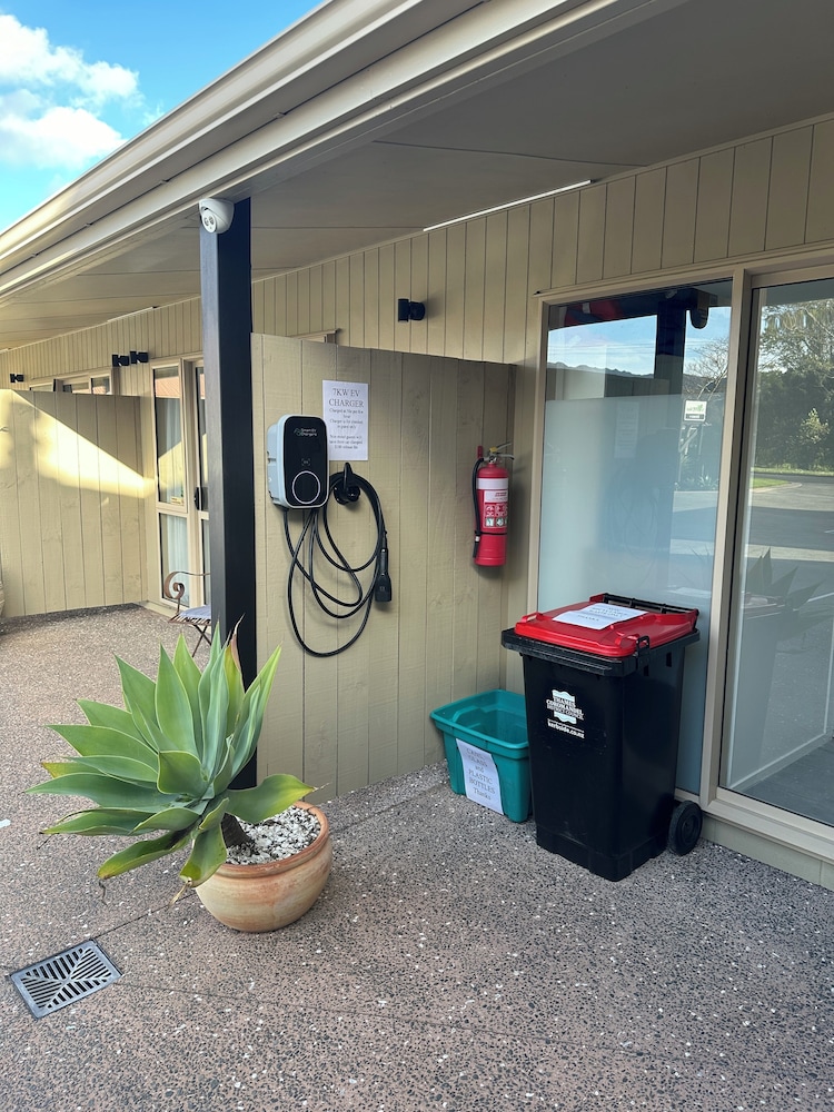 The Olive Motel 9/50