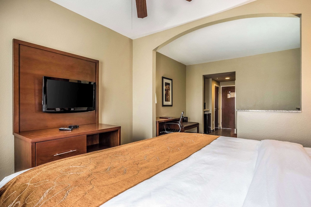 Suite, King Bed, Sofa