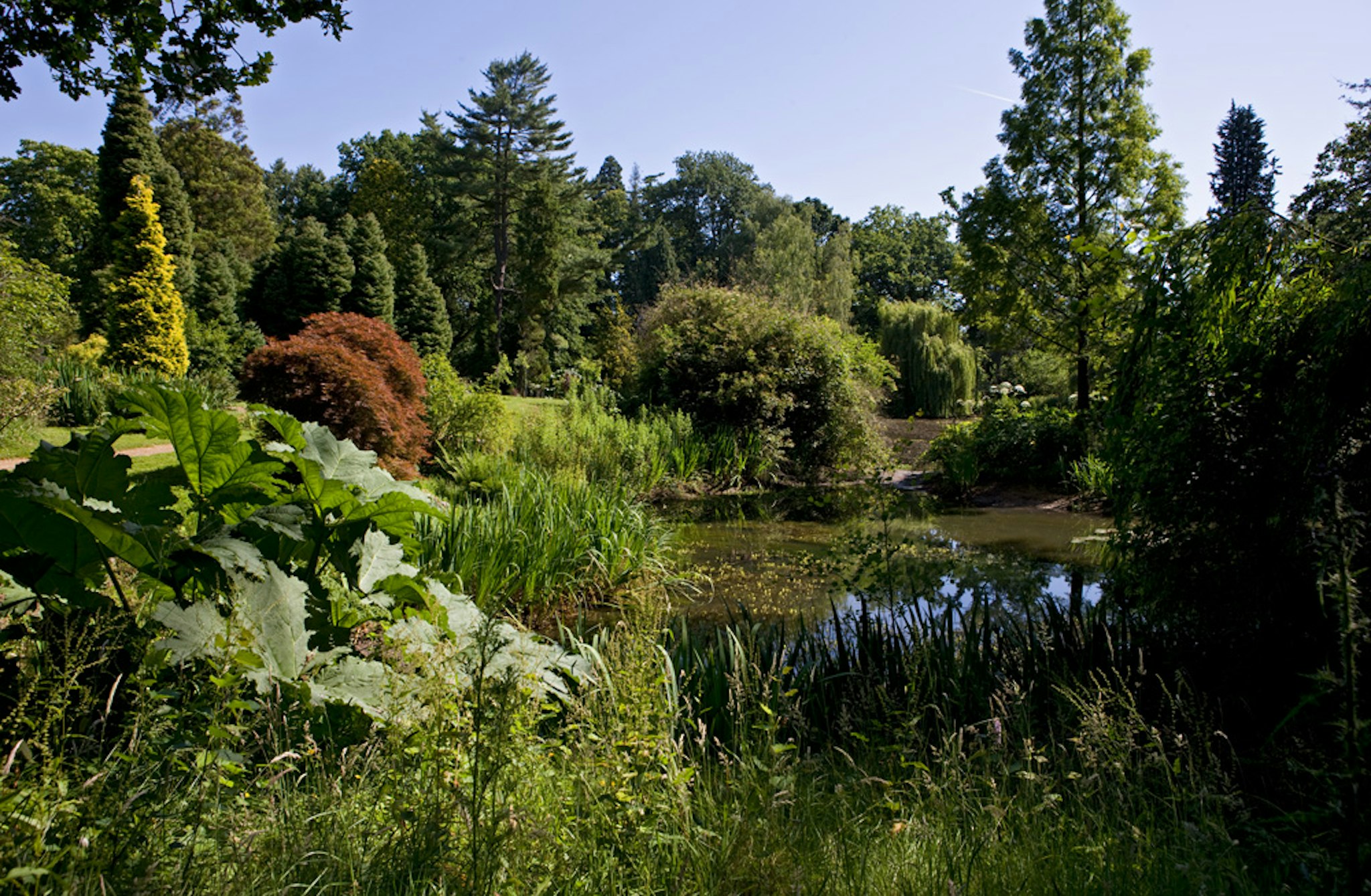 Tylney Hall 39/45