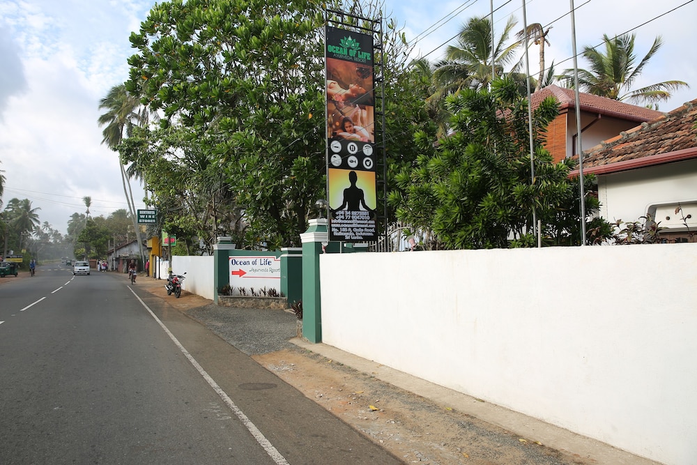 Ocean Of Life Ayurvedic Resort 3/44