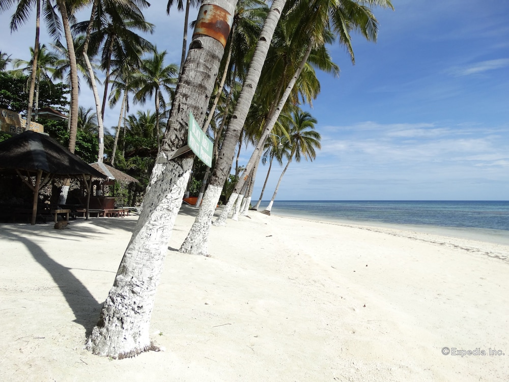 Anda White Beach Resort 59/64