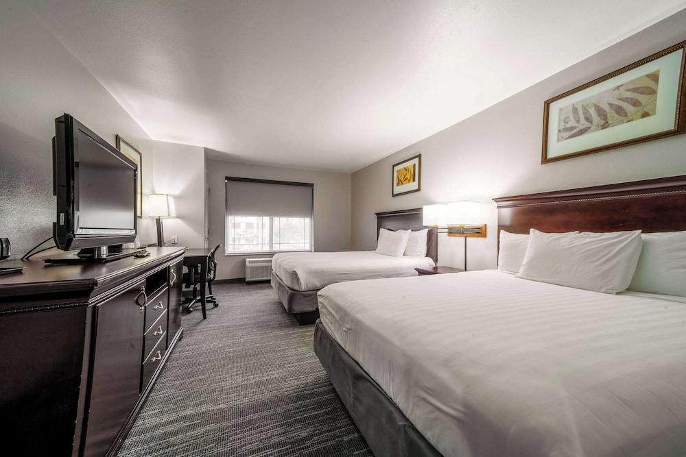 ROOM, 2 QUEEN BEDS