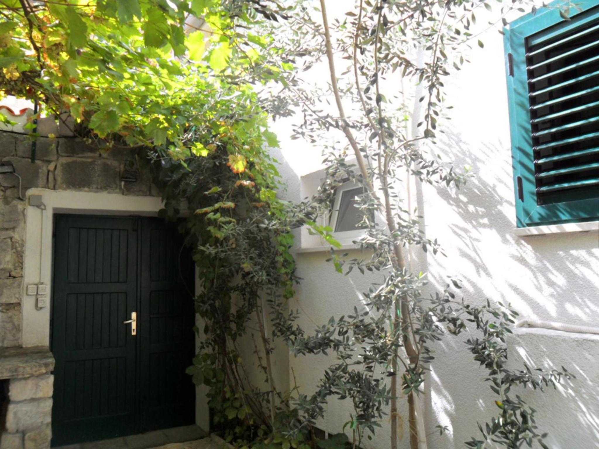 Villa Dube 5/50