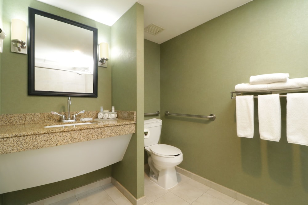 غرفة قياسية بسرير كينج لذوي الإعاقة، Holiday Inn Express And Suites Monterrey Aeropuerto 7/7