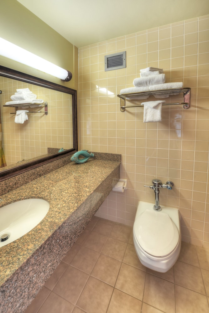 Best Western Aku Tiki Inn 20/40