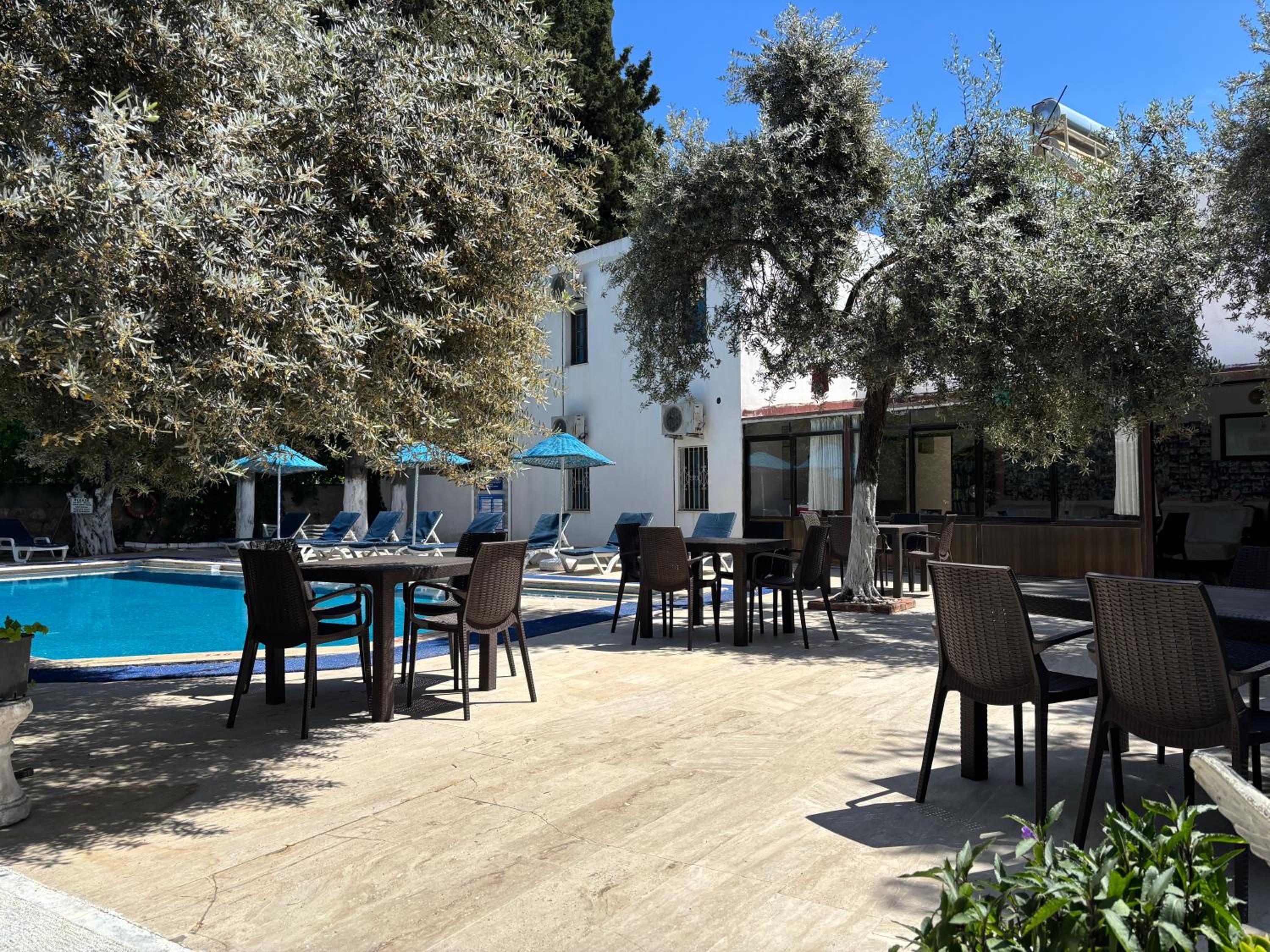 Ali Baba Hotel 51/55