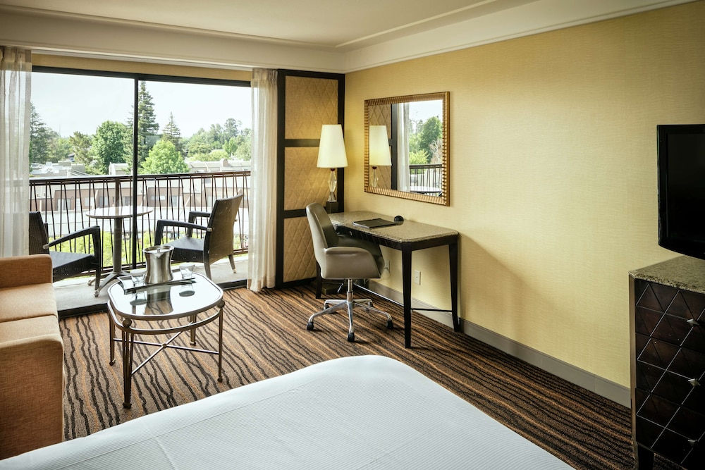 Hilton Stockton 31/51
