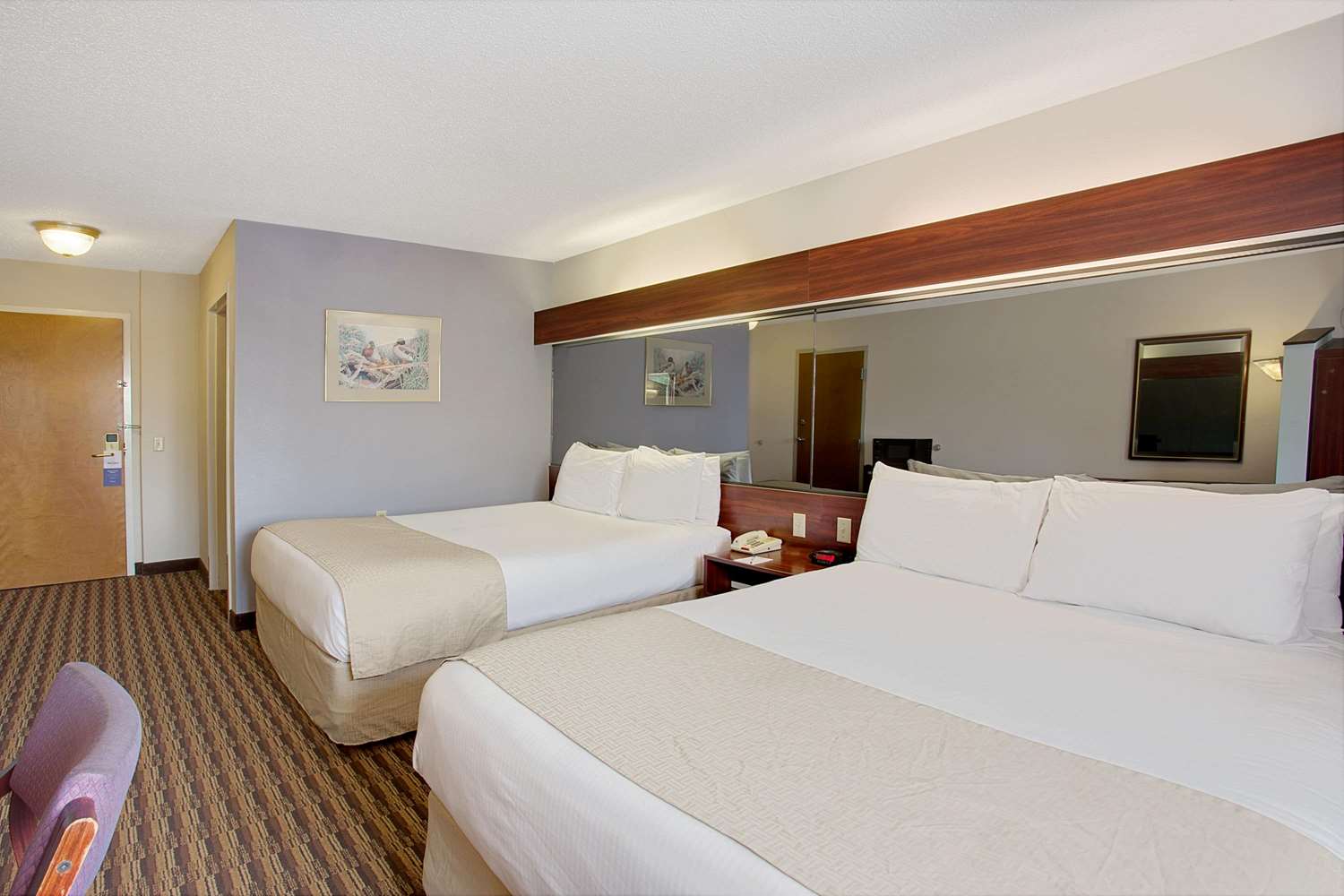 Microtel Inn & Suites by Wyndham Murfreesboro 8/24