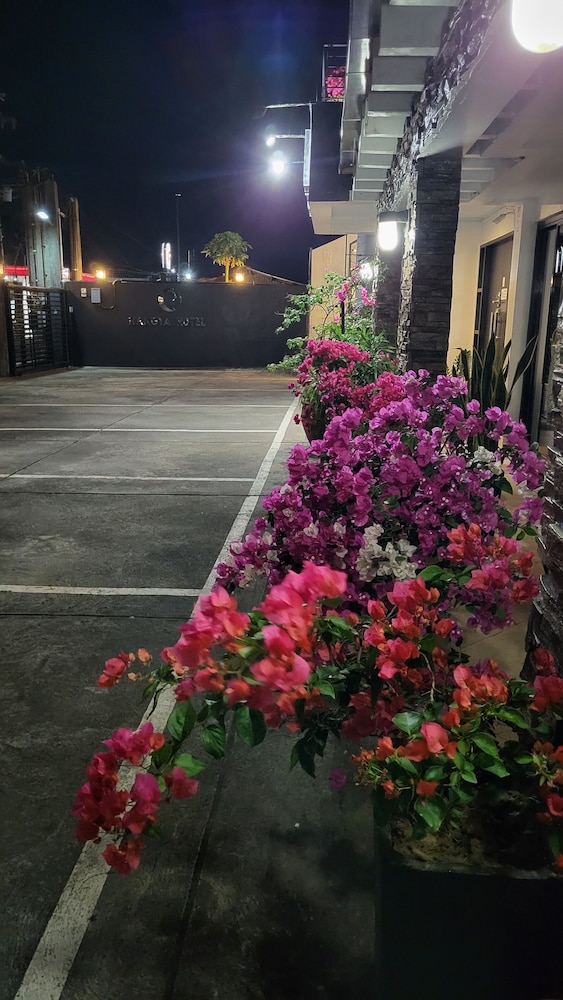 Rangya Hotel 61/66