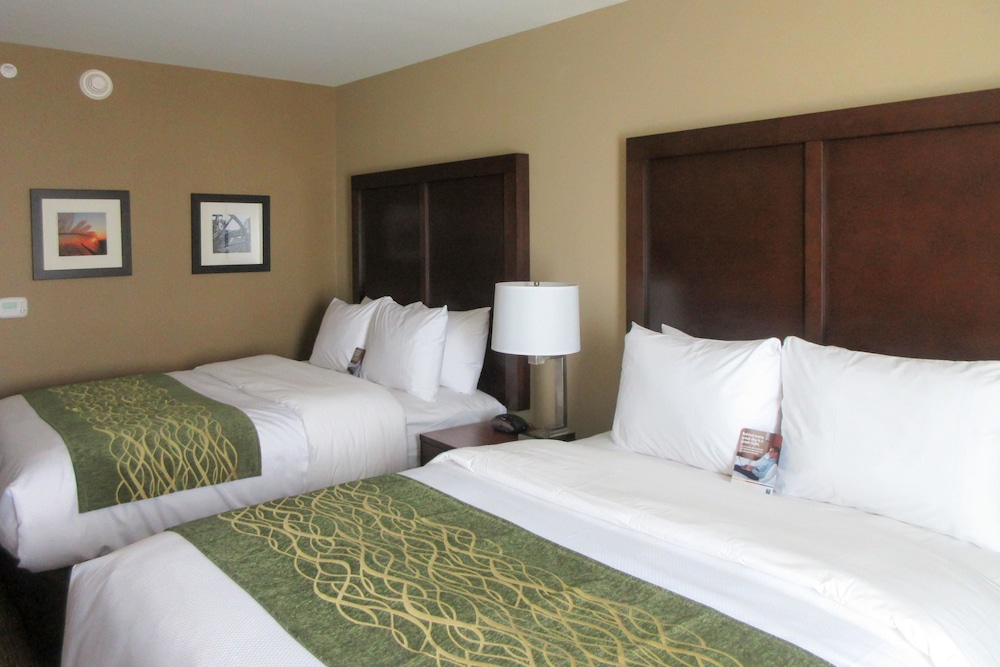 Comfort Inn & Suites - Harrisburg Airport - Hershey South 17/48