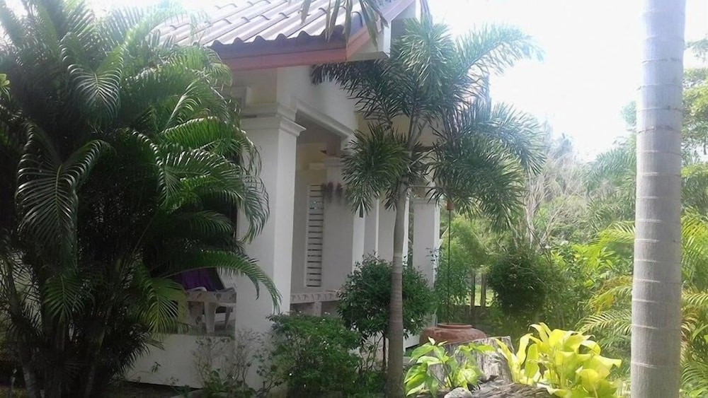 Bamboo Resort 6/41