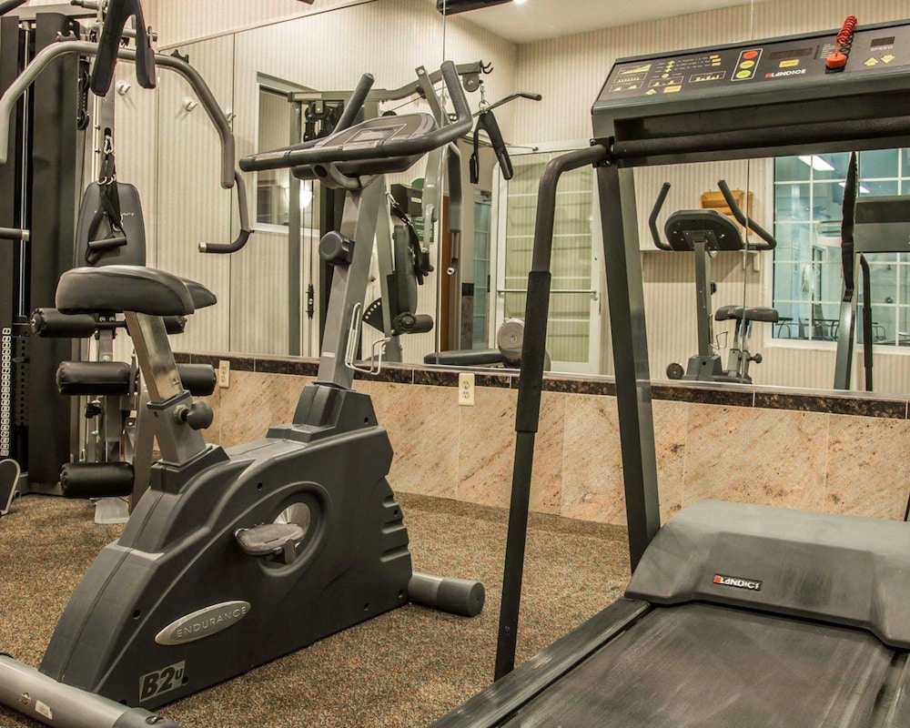 Comfort Inn and Suites Fenton MI 29/50