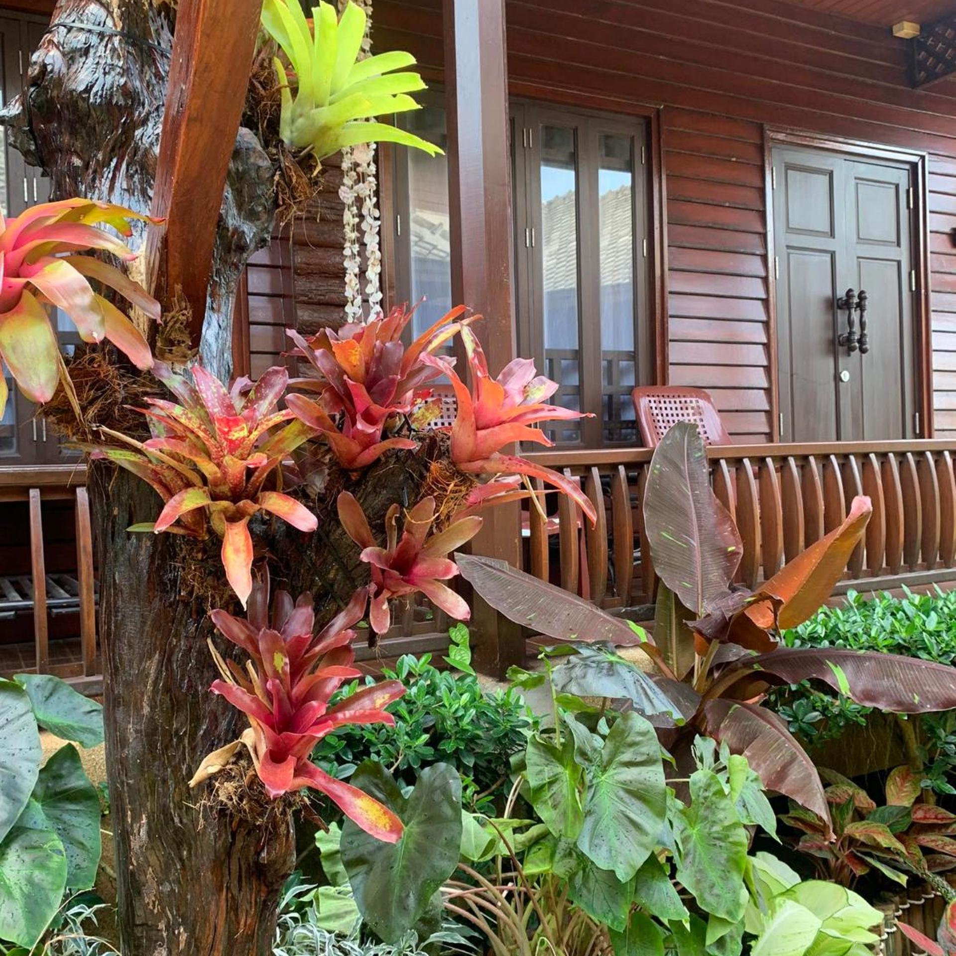 Baan Pakgasri Hideaway 23/49