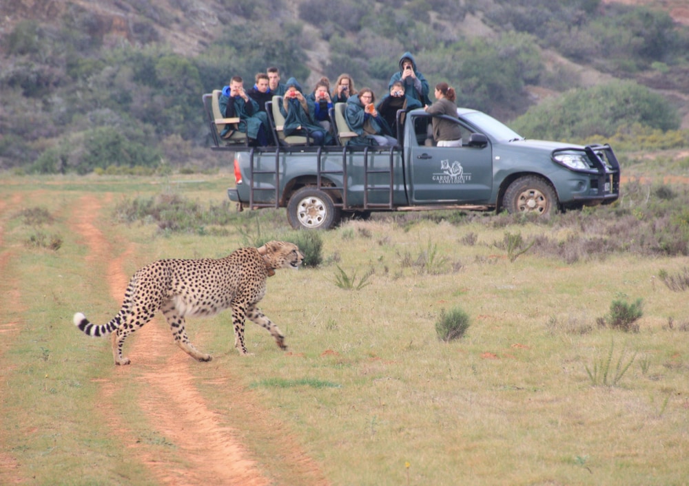 Garden Route Game Lodge 67/74