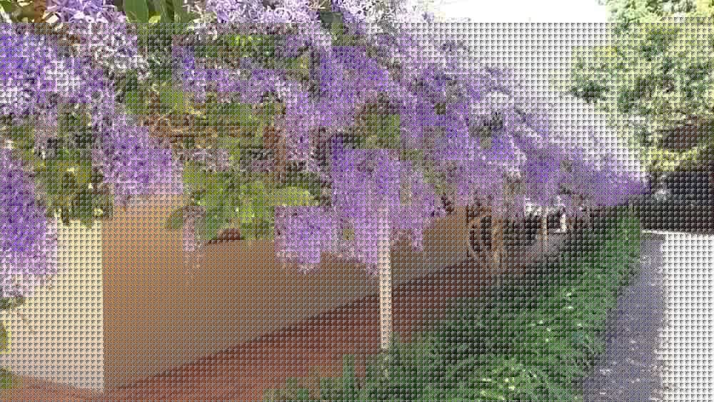 BENDLES COTTAGES AND COUNTRY VILLAS 7/49