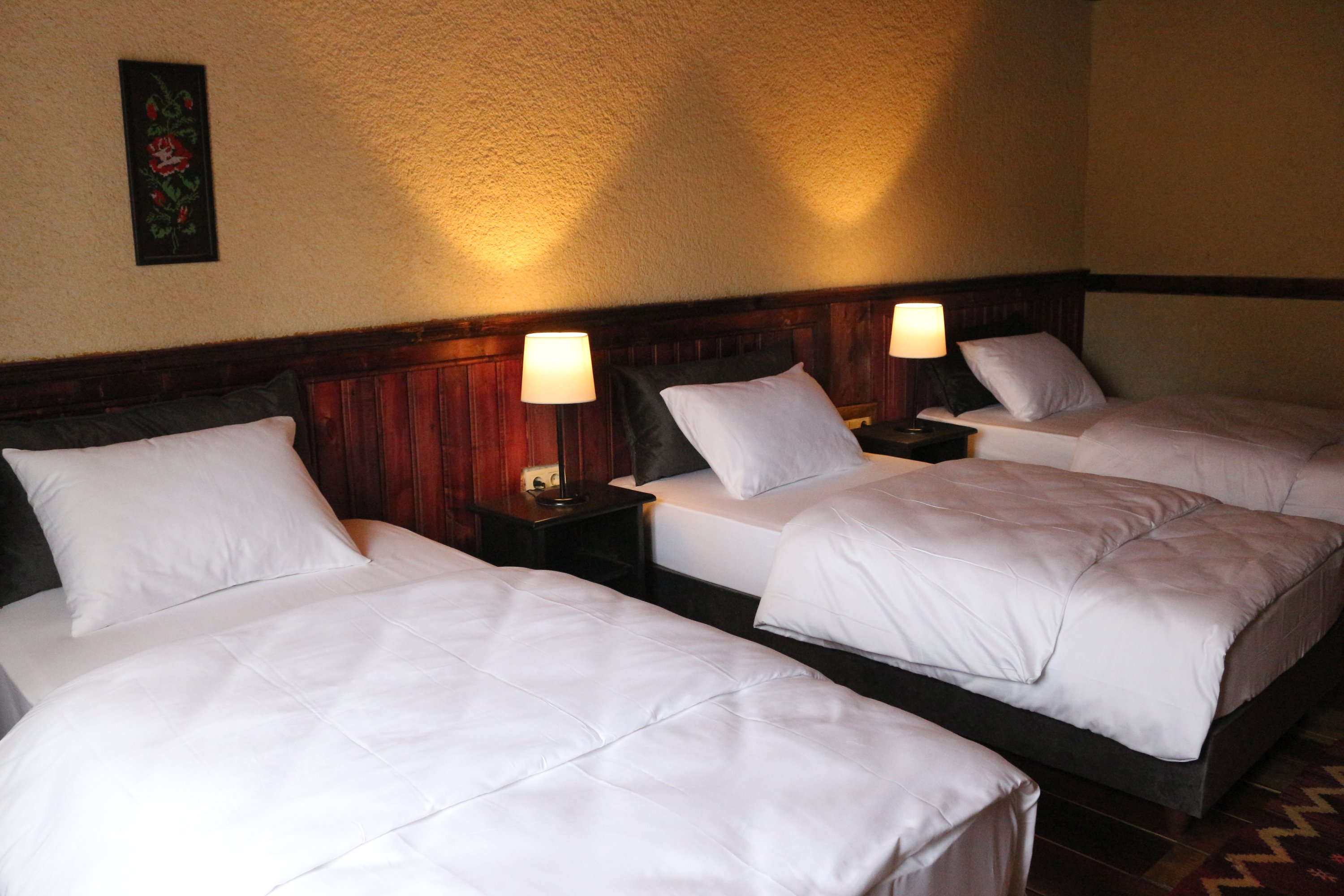Zifin Hotel 2/19
