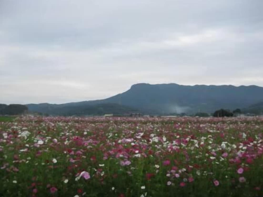 Grand Plaza Nakatsu Hotel 42/45