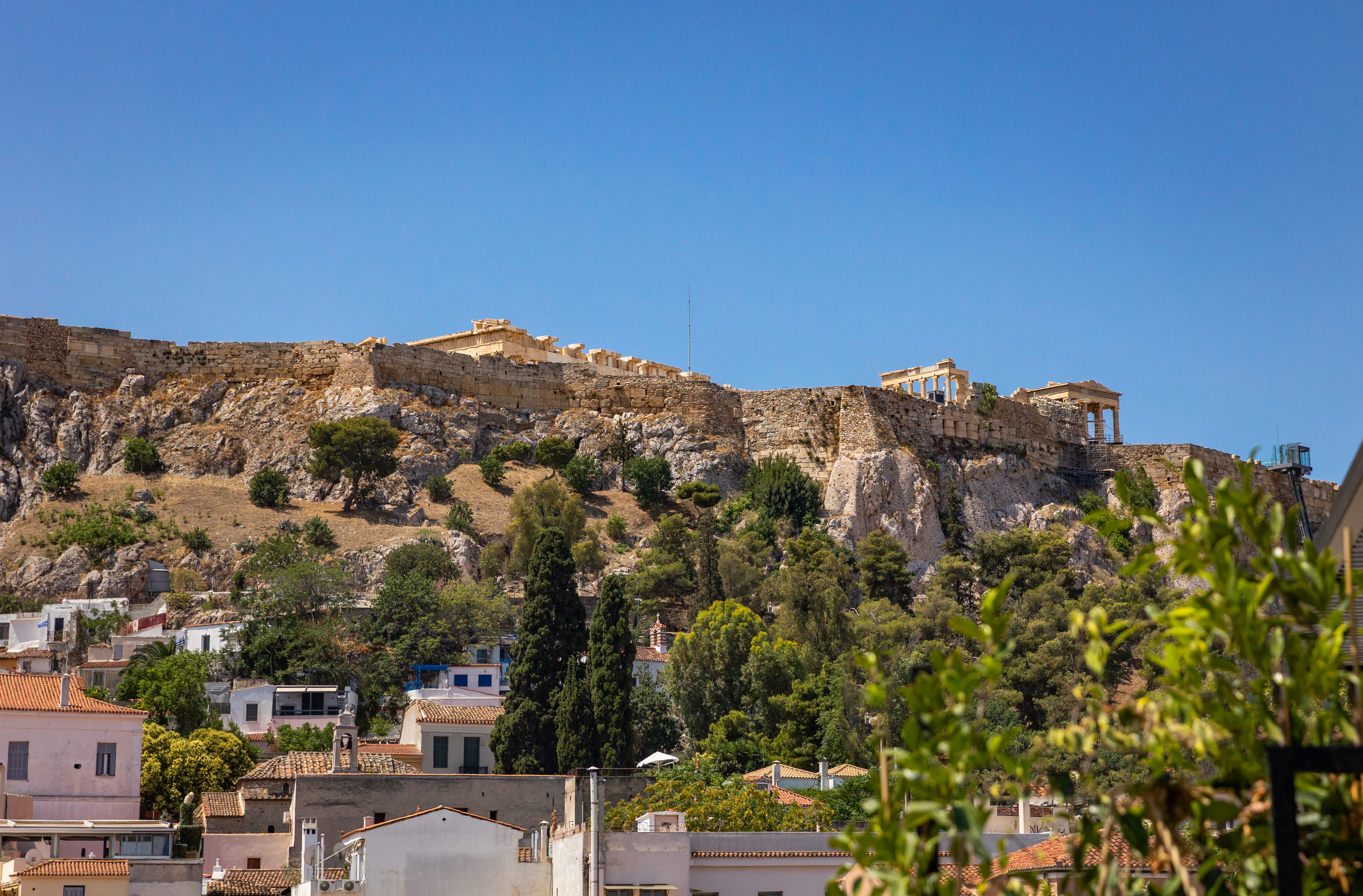 Esse Athens 44/50
