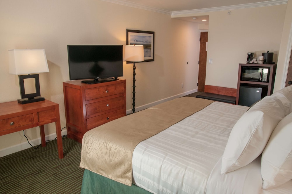 Best Western Plus Eagle/Vail Valley 11/41
