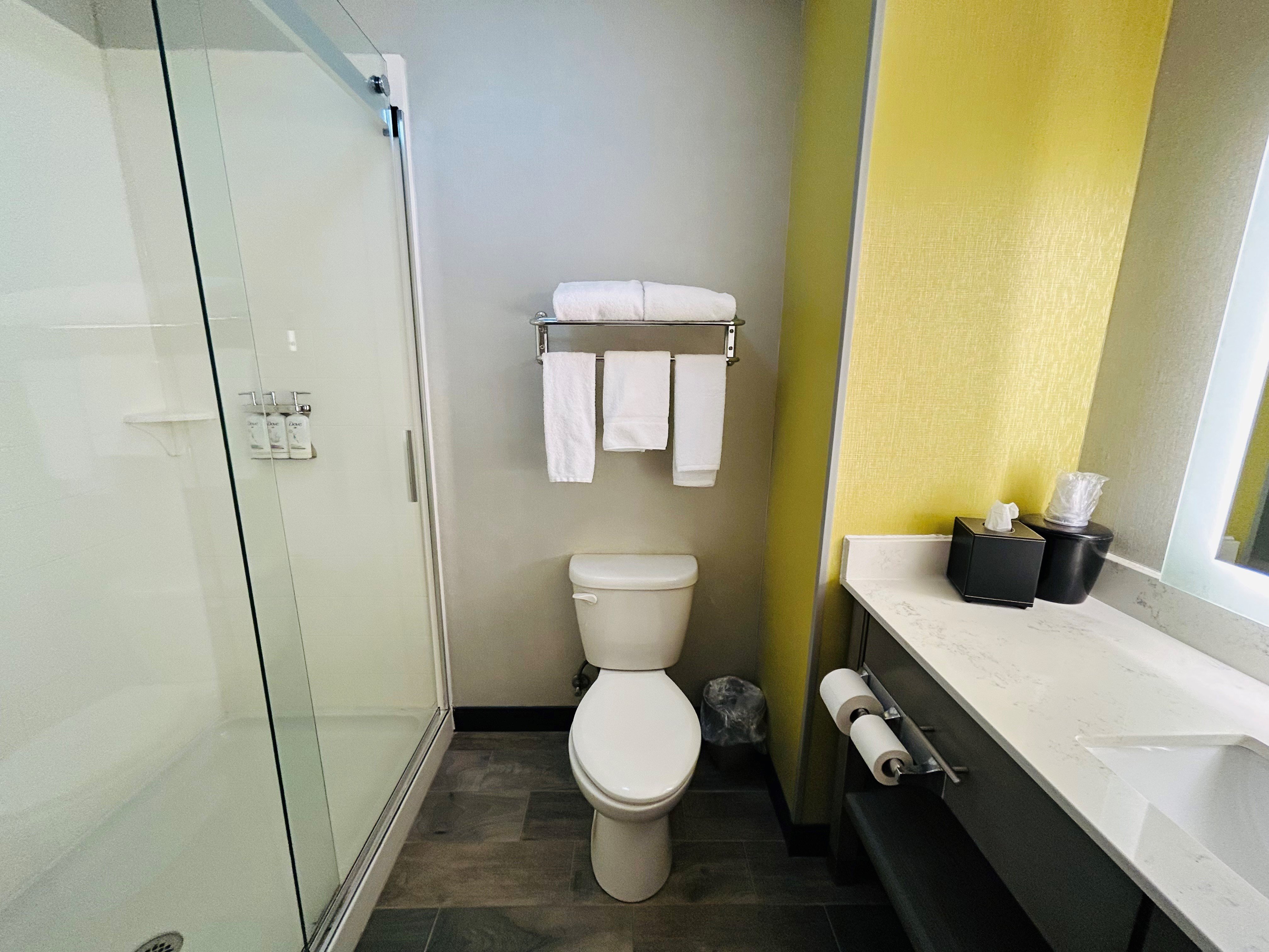 Holiday Inn Express Suites Shippensburg 65/65