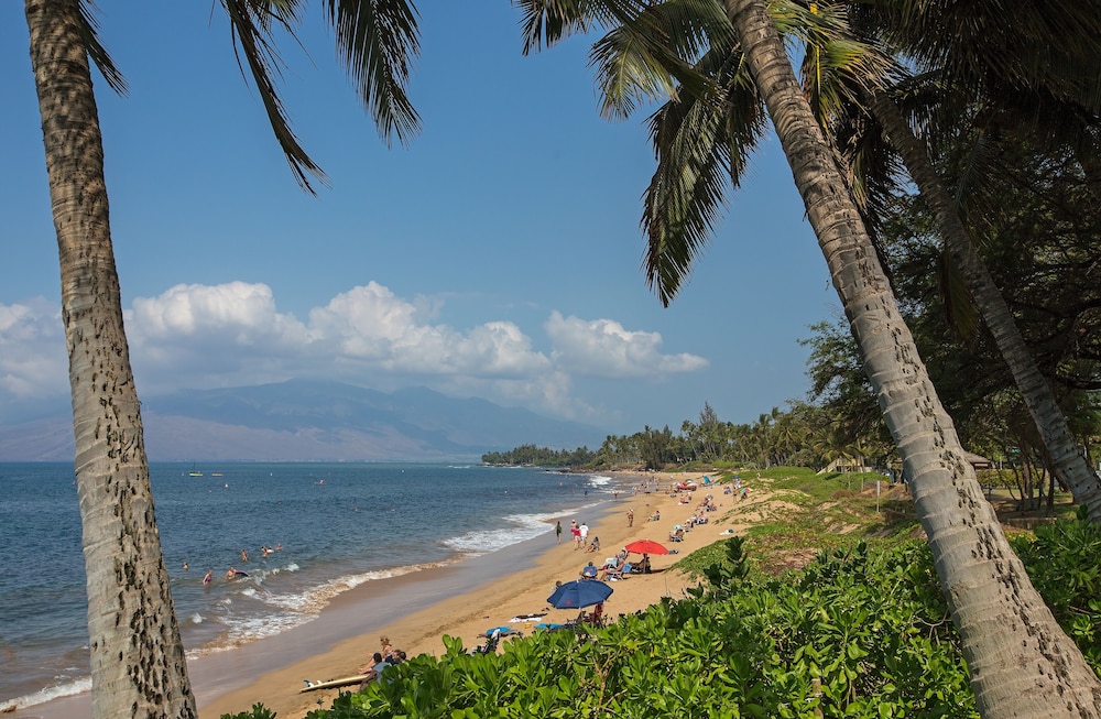 Maui Coast Hotel 61/71