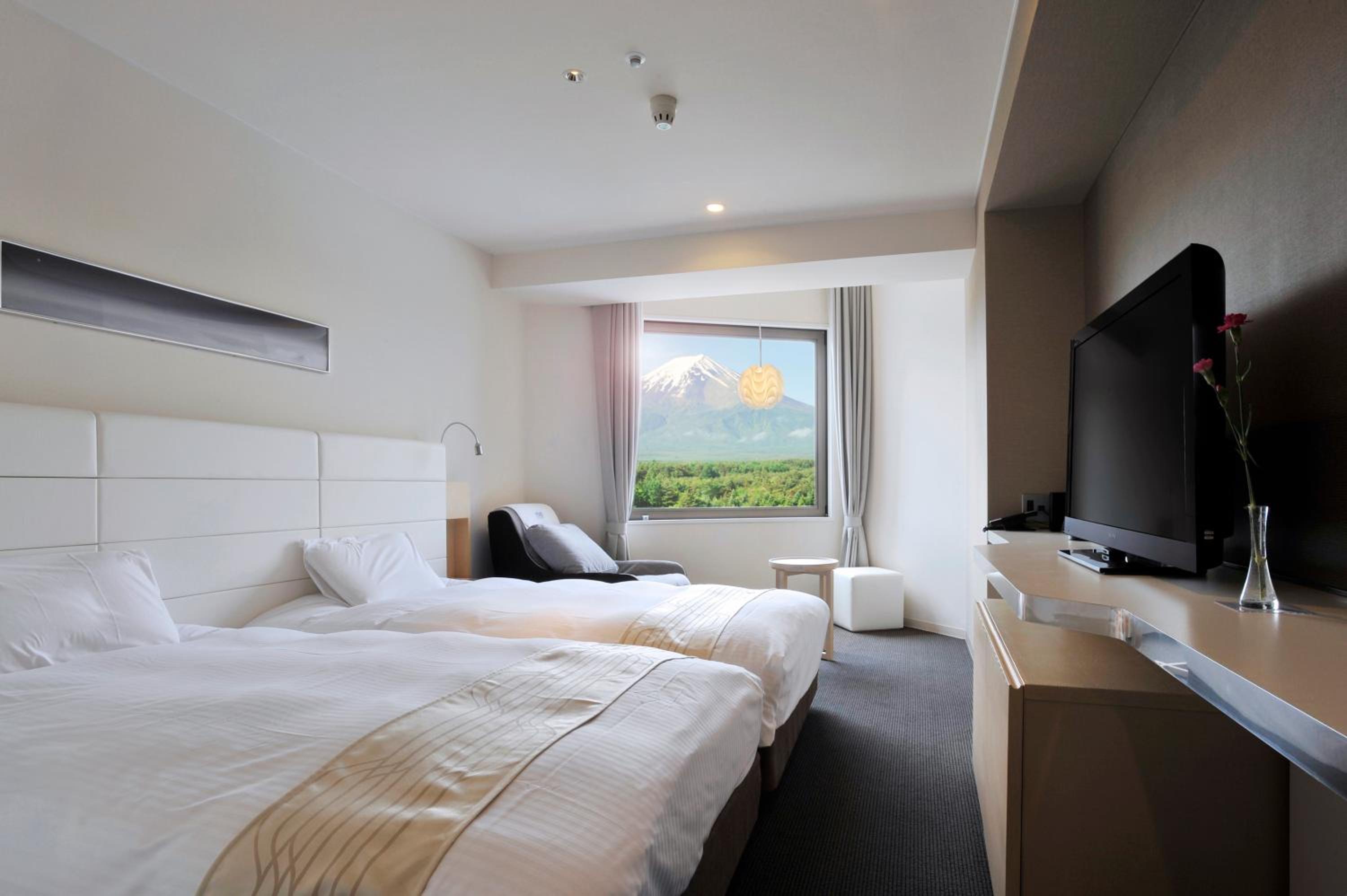 Casual, Standard, Twin Beds, Mountain View