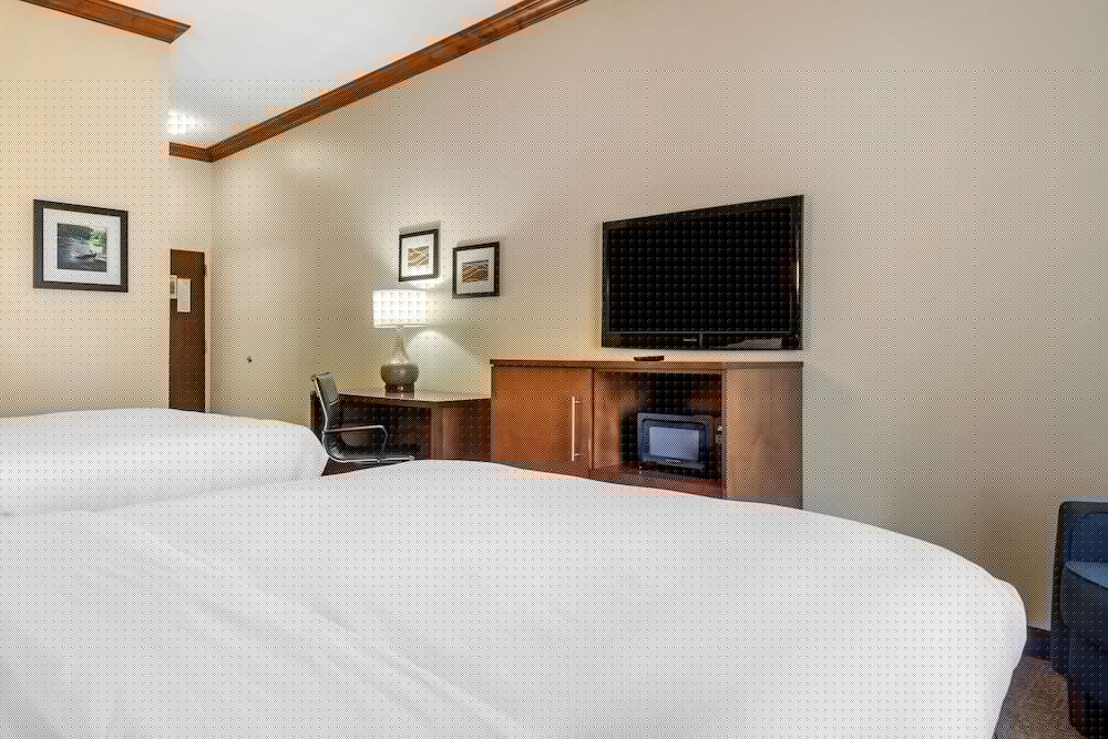 Comfort Inn Suites Statesboro 10/34