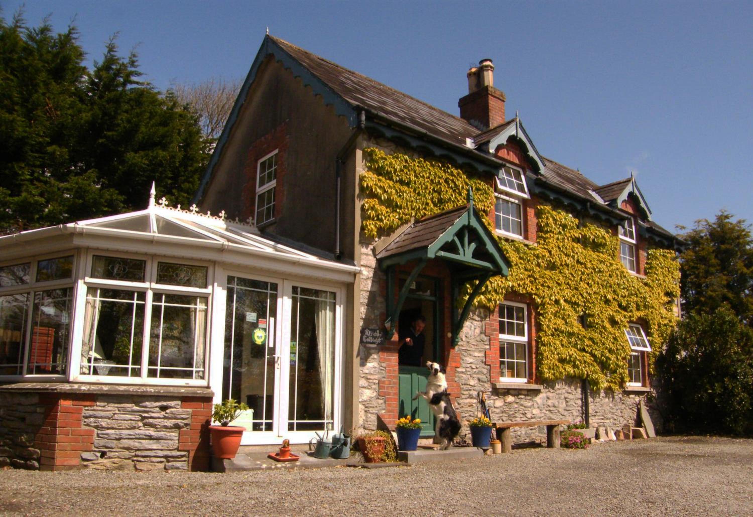 Druid Cottage 1/21