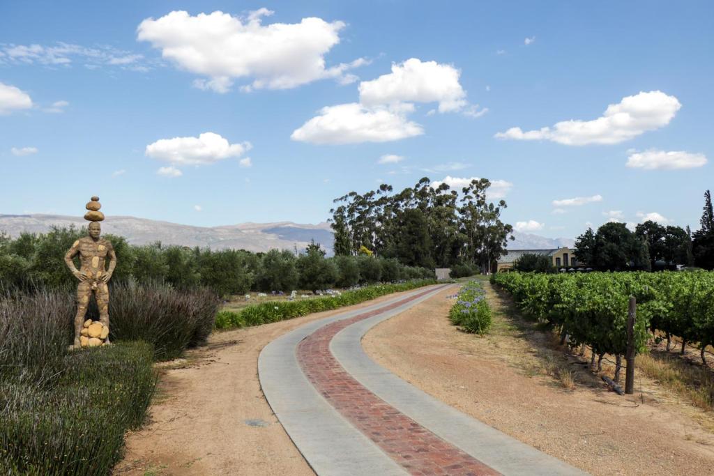 Saronsberg Vineyard Cottages 41/47