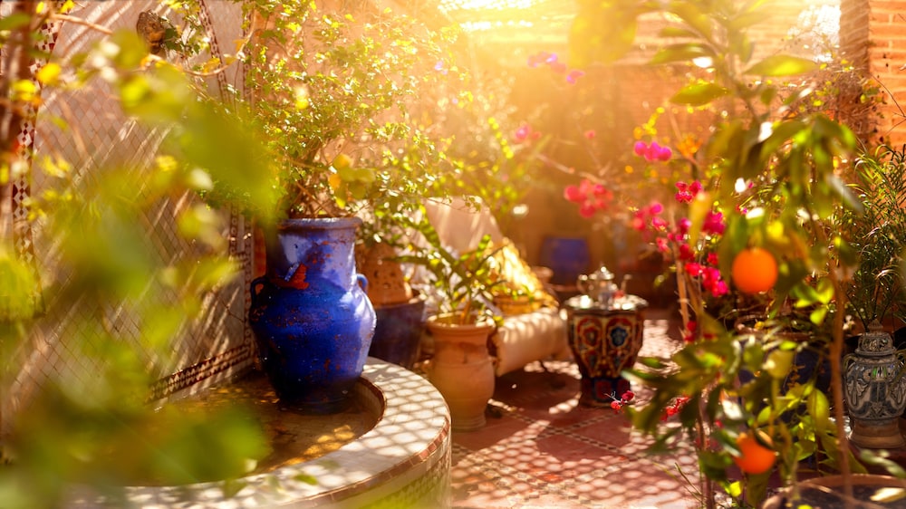 Riad Oulaya 43/50