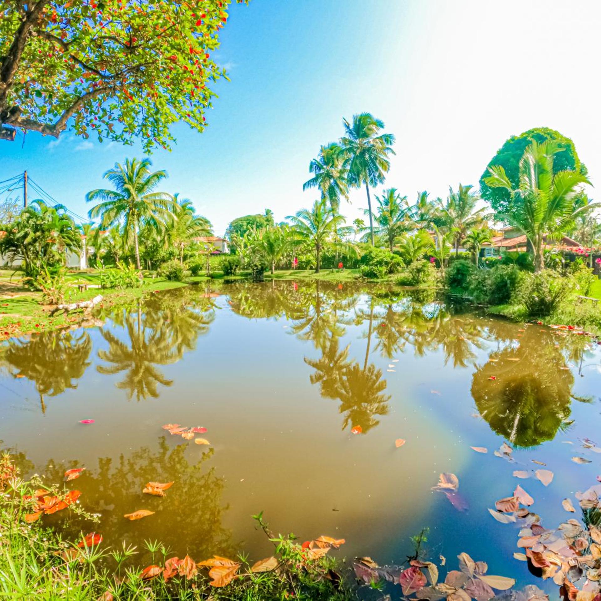 Alma Tropical Resort 45/50
