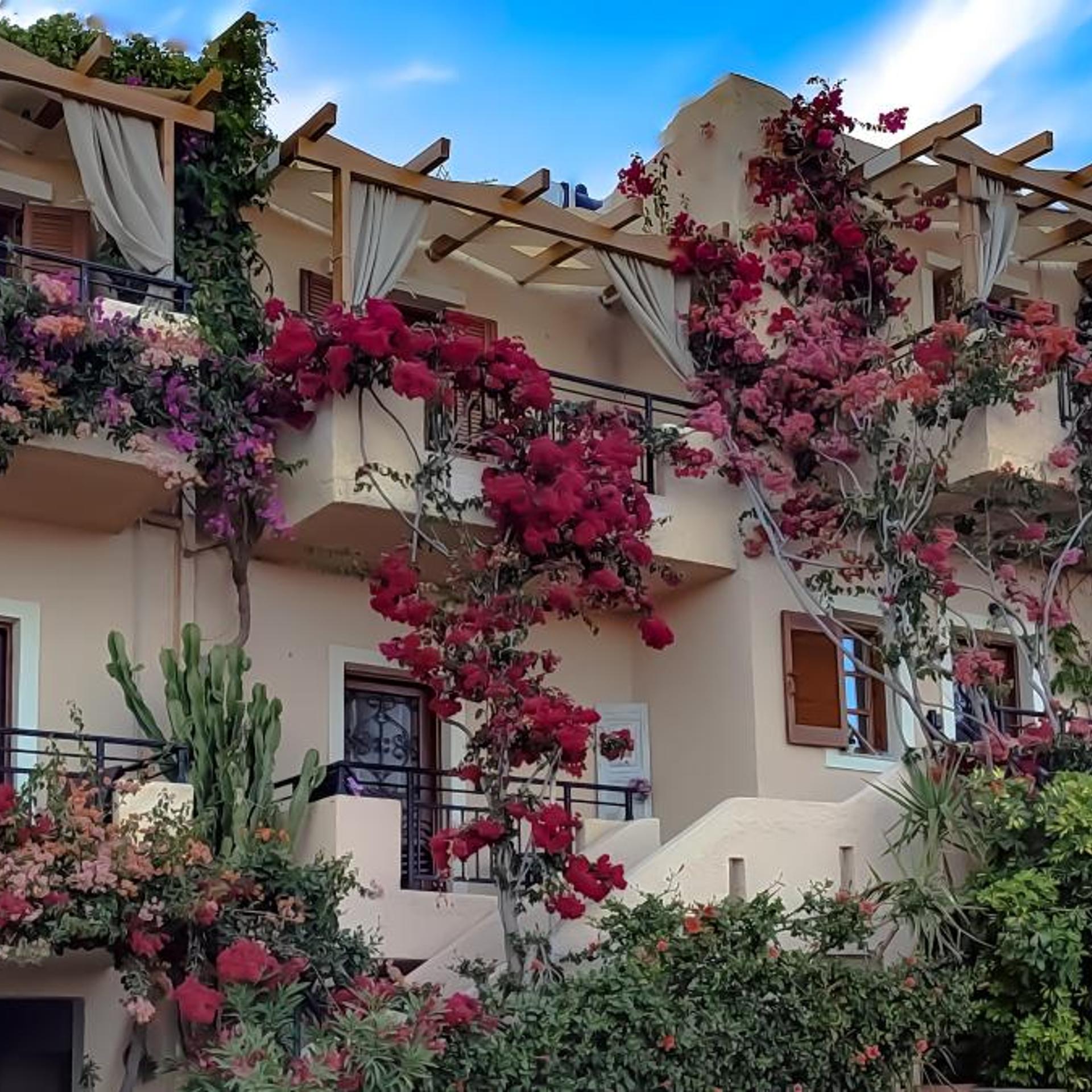 NIKI APARTMENTS in CRETE