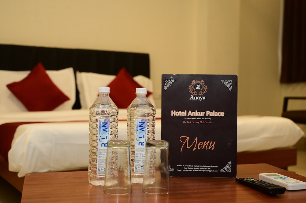 Hotel Ankur Palace 22/29