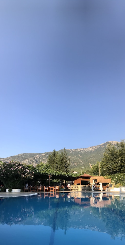 surroundings