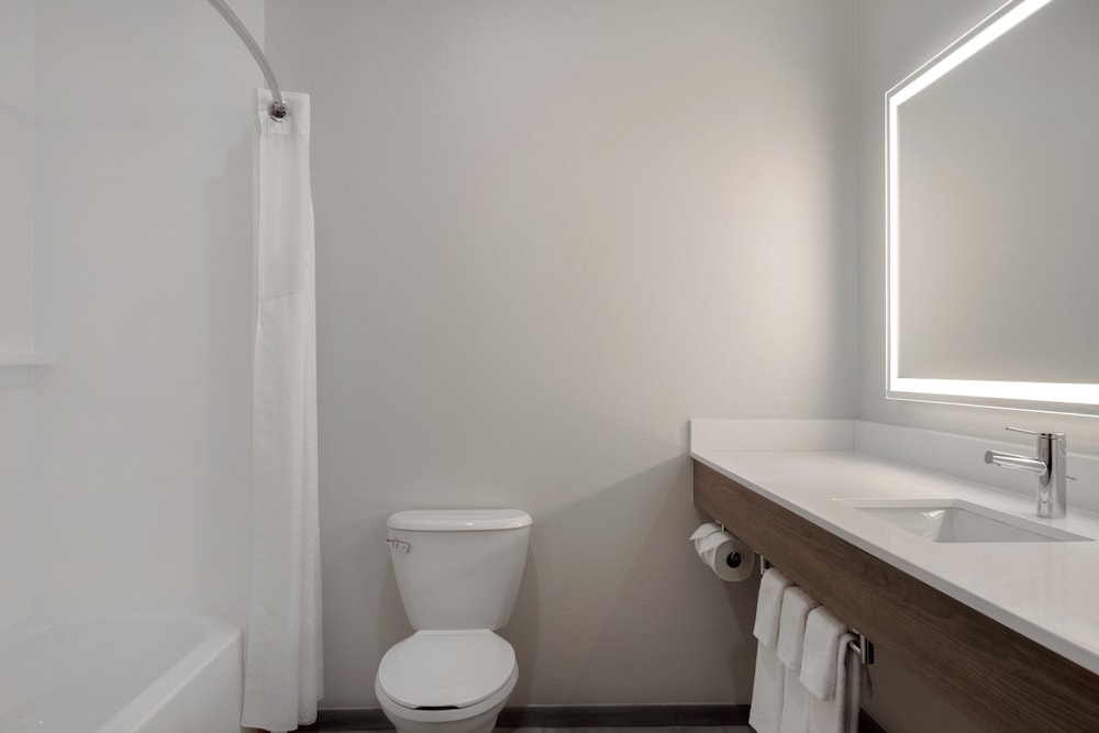Holiday Inn Express Hotel And Suites Prattville South 52/53