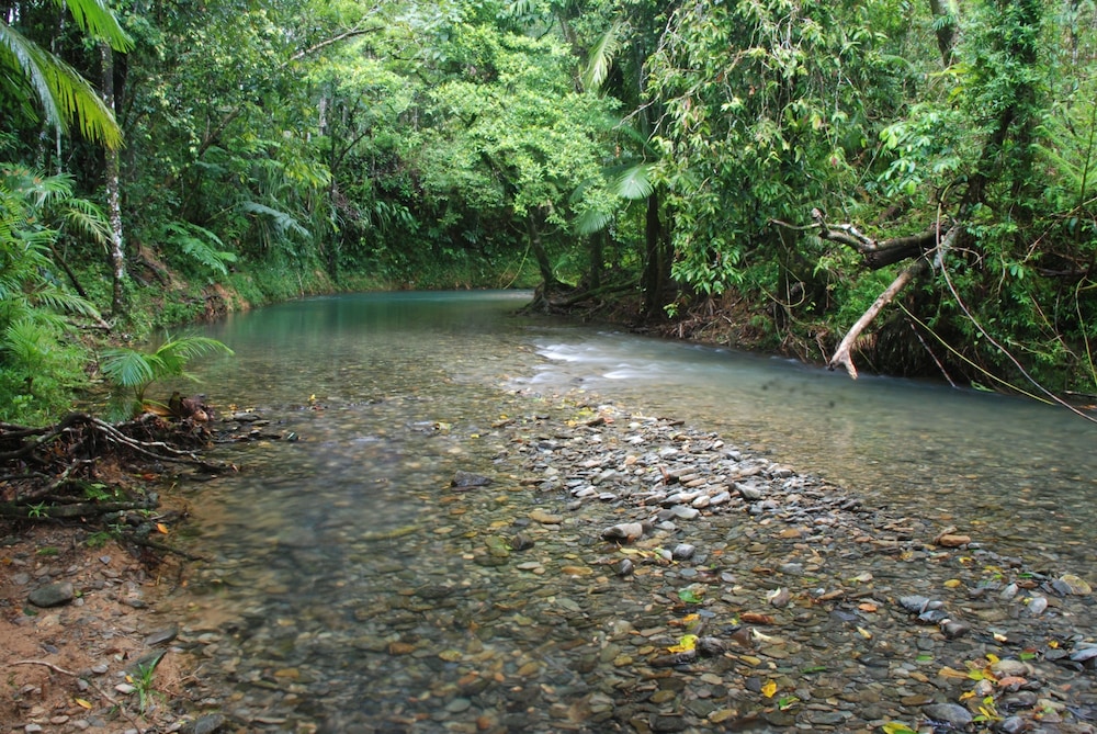 Heritage Lodge In the Daintree 34/53