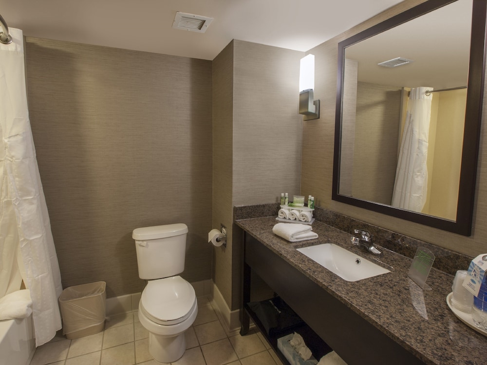 Holiday Inn Express Hotel Suites Buffalo Airport 20/58
