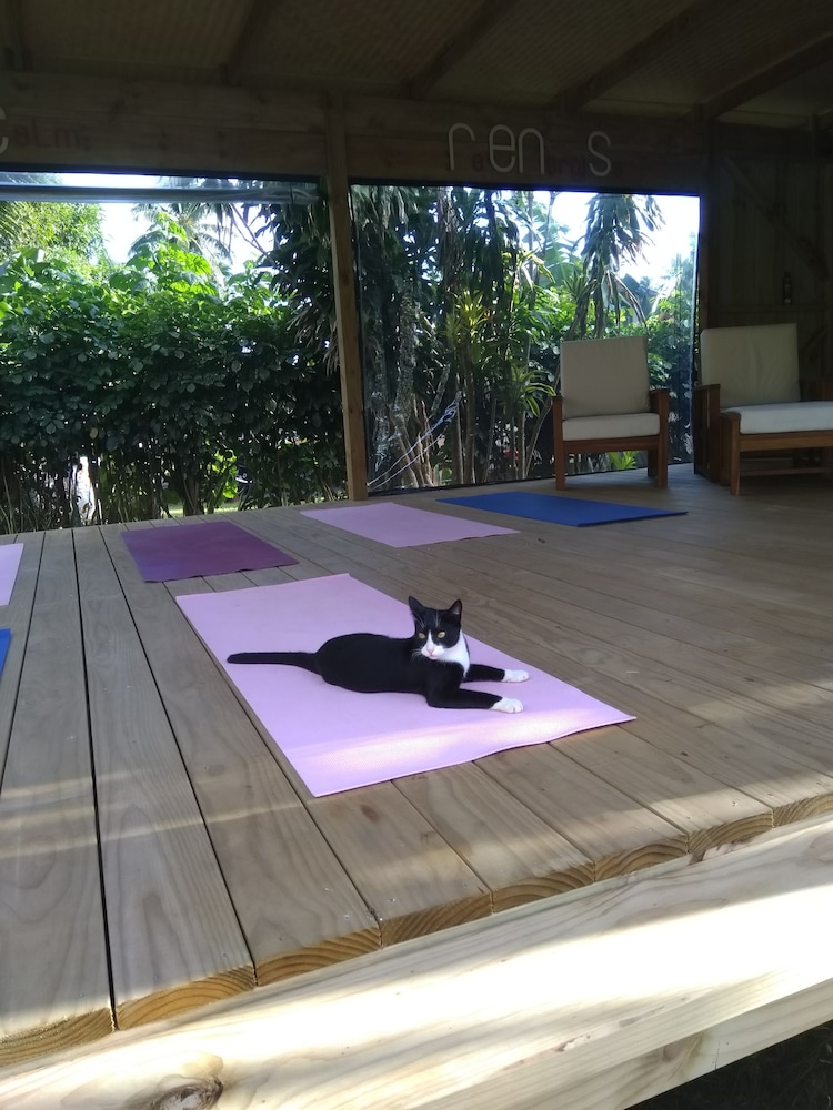 Ikurangi Eco Retreat 22/50