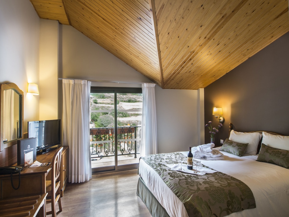 Hotel Princesa Parc 10/49