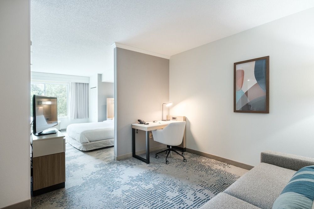 استوديو بسرير كينج مع أريكة لذوي الإعاقة، SpringHill Suites Charlotte Lake Norman/Mooresville 3/5