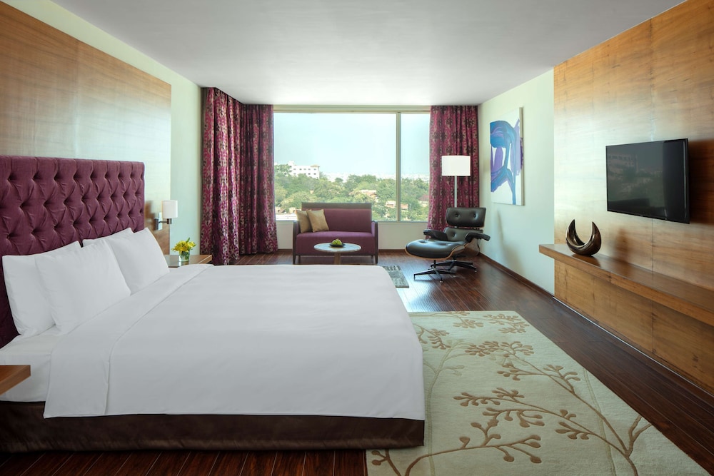 Radisson Blu Plaza Hotel Hyderabad Banjara Hills 29/73