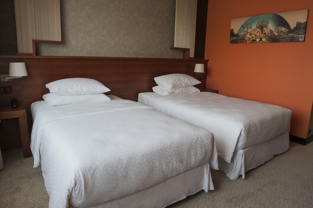 FOUR POINTS BY SHERATON KECSKEMET HOTEL & CONFERENCE CENTER 14/35