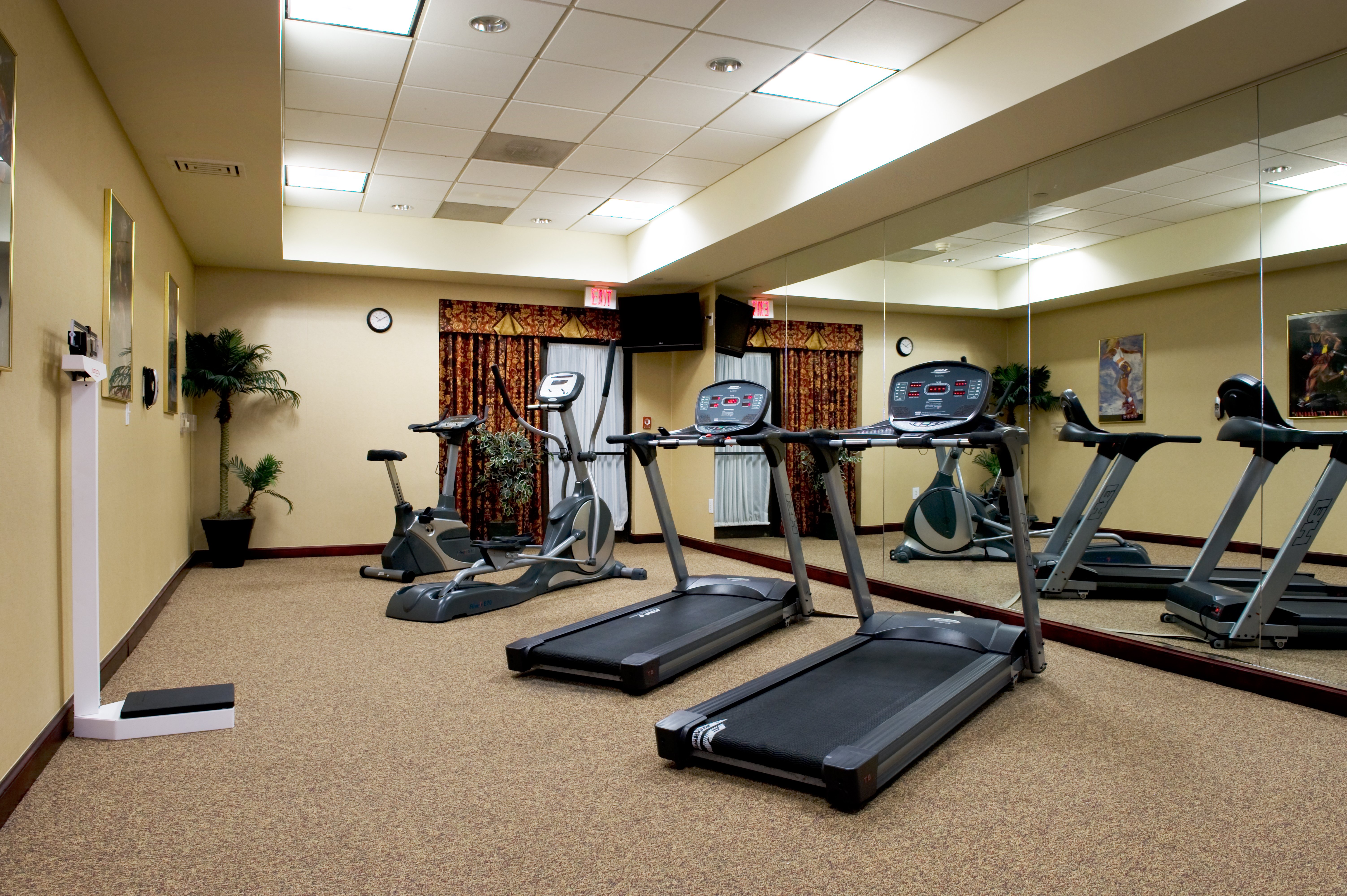 Holiday Inn Express Hotel And Suites Dallas Ft Worth Airport South 21/30
