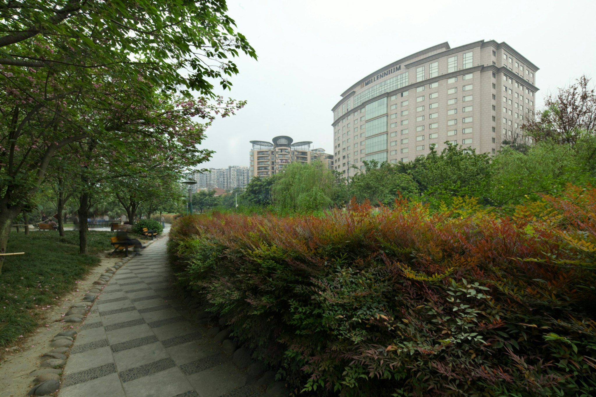 Millennium Hotel Chengdu 73/76