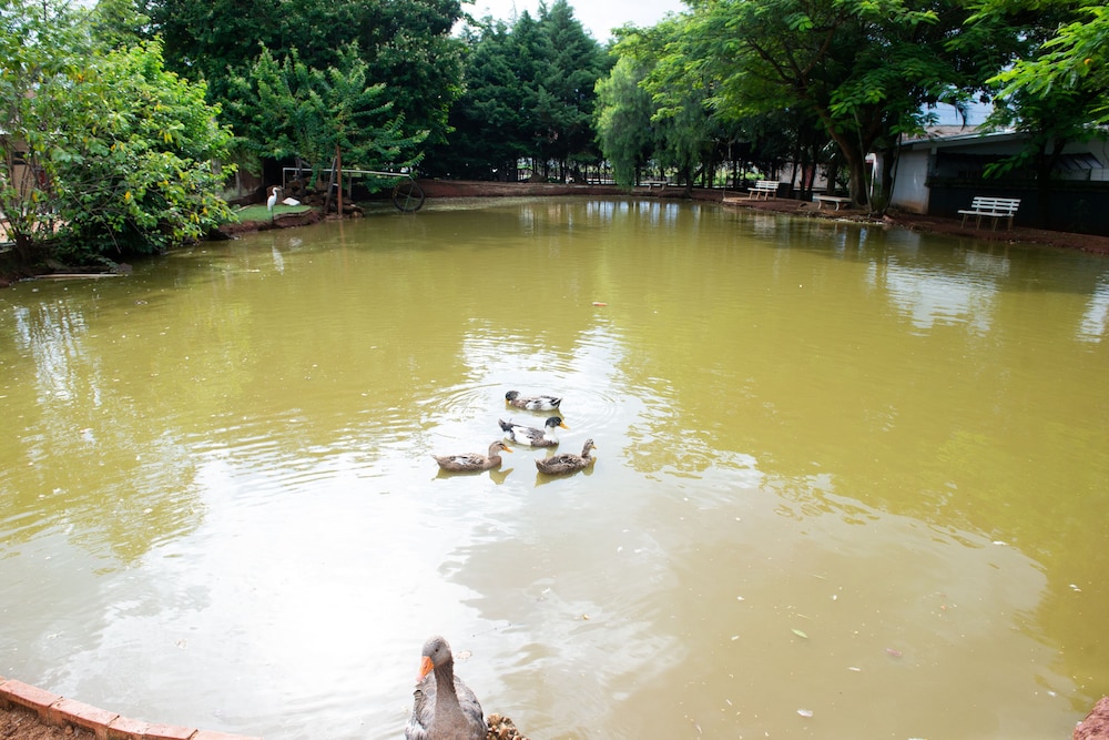 Villa Verde Hotel 23/33
