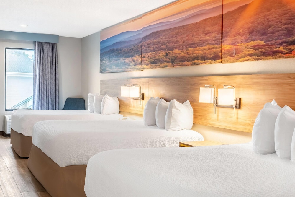 Days Inn By Wyndham Bainbridge 23/39