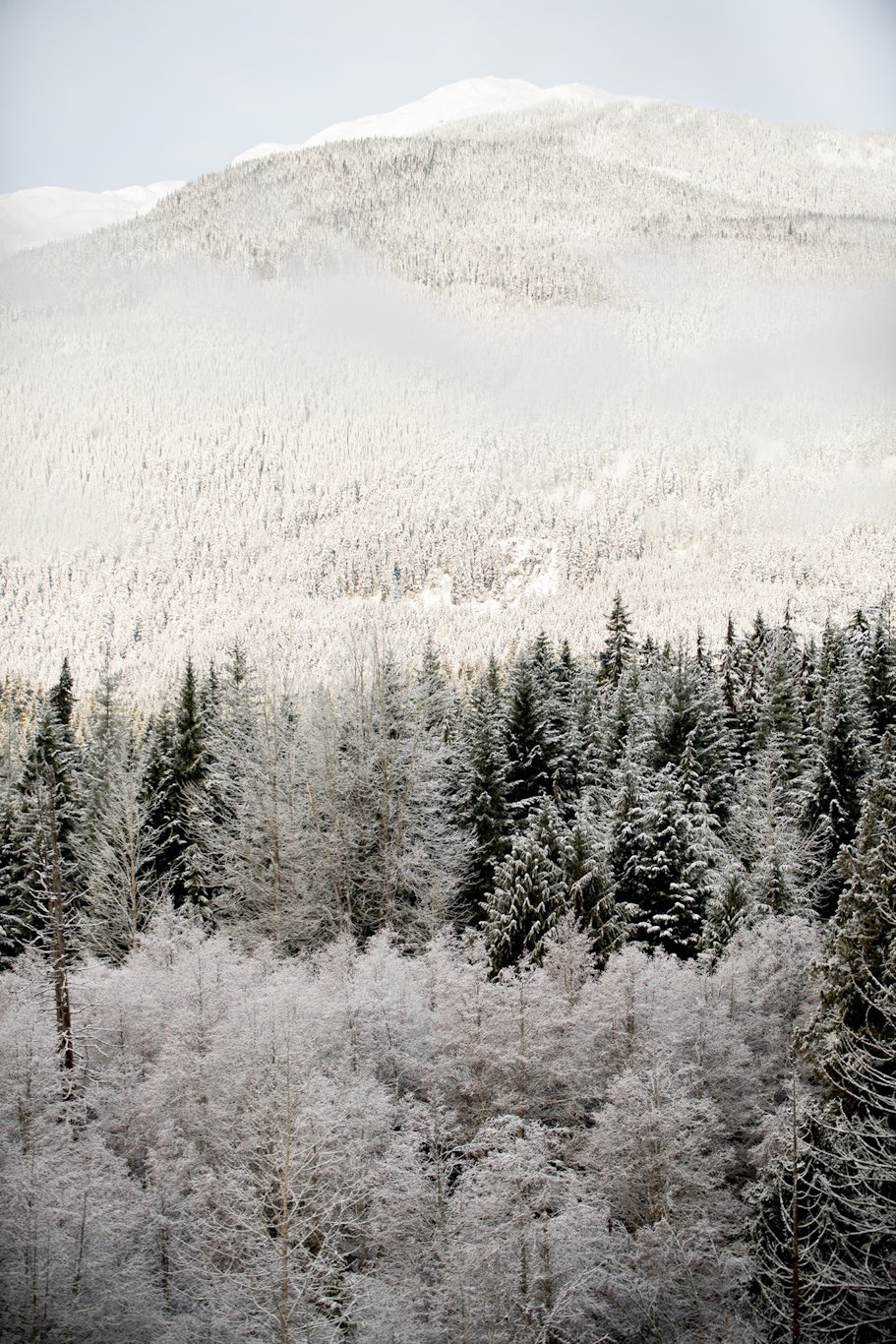 Four Seasons Resort Whistler 99/100